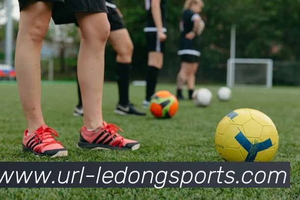 乐动体育平台生态图